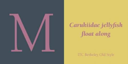 ITC Berkeley Oldstyle Std Font 11