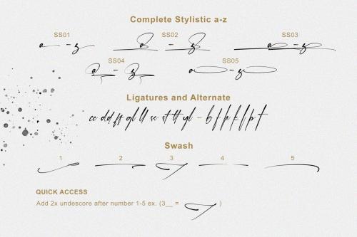 Janelotus Handwritten Signature Font 8