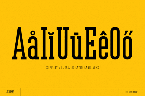 Jerome Slab Serif Font 11