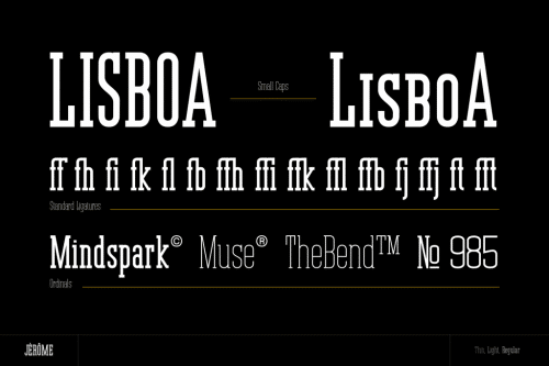Jerome Slab Serif Font 8