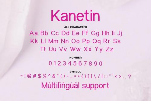 Kanetin Beautiful Sans Serif Font 2