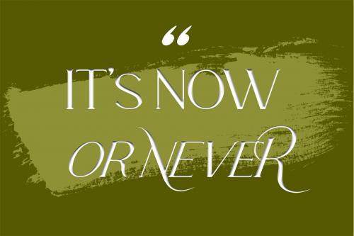 La Fleur Serif Font 5