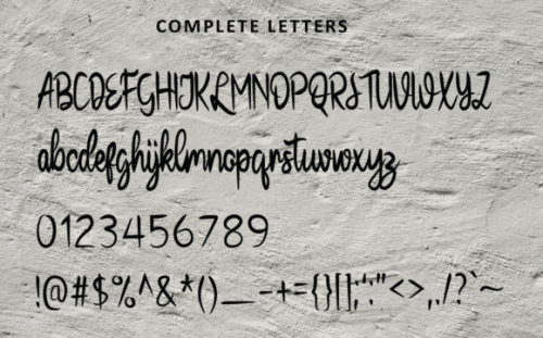 La Gonjess Script Font 3