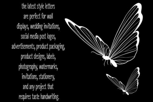 Letter Woven Handwritten Font 2