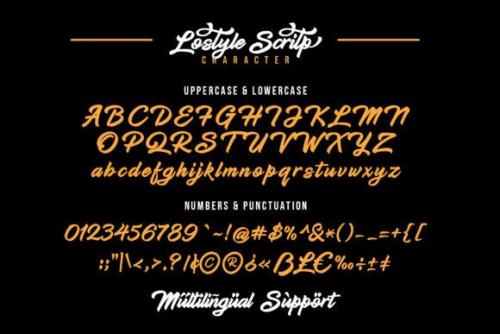 Lostyle Script Font 4
