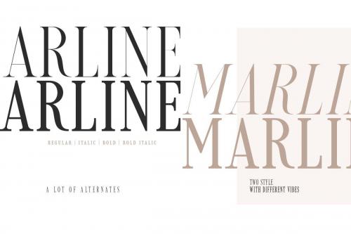 Loverica Classy Condensed Serif Font 2