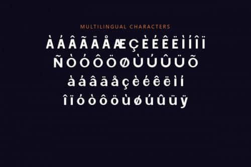 Lynsic Cisnyl Sans Serif Font 003