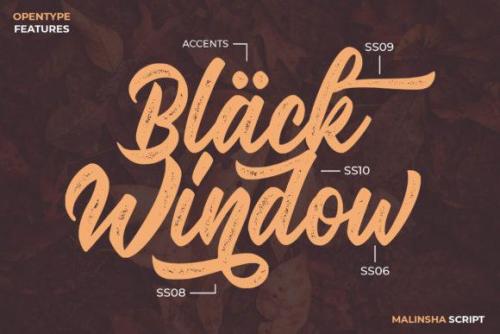Malinsha Script Font 10