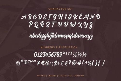 Malinsha Script Font 13