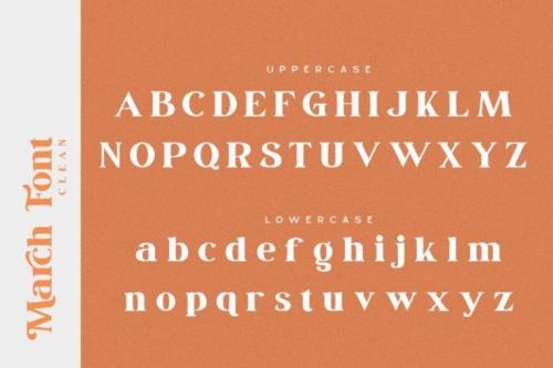 March Serif Font 14