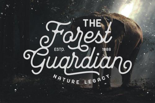 Mayhena Monoline Script Font 1