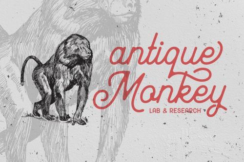 Mayhena Monoline Script Font 3