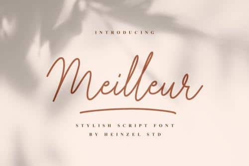 Meilleur Handwritten Script Font