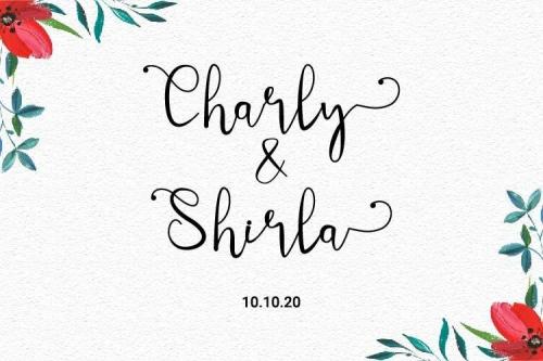 Meltinghones Calligraphy Script Font 2