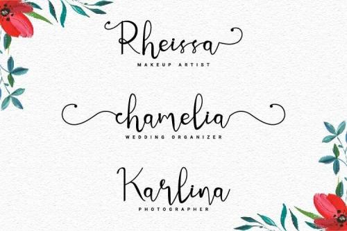 Meltinghones Calligraphy Script Font 3