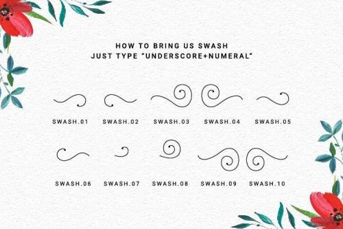 Meltinghones Calligraphy Script Font 4