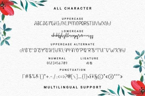 Meltinghones Calligraphy Script Font 5