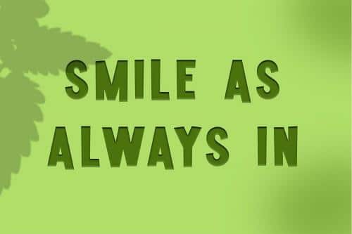 Mintmolly Display Font 6