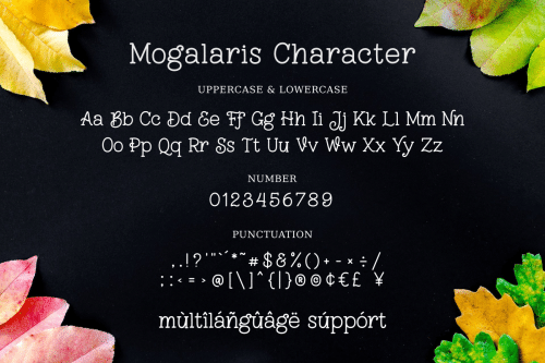 Mogalaris Slab Serif Font 9