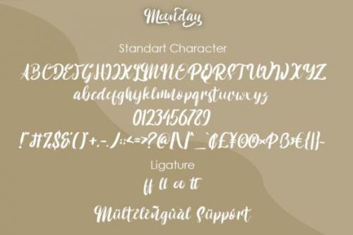 Monday Script Font 8