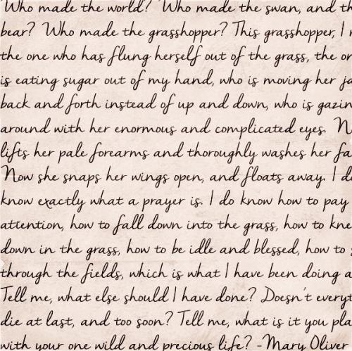 Nella Sue Font 3