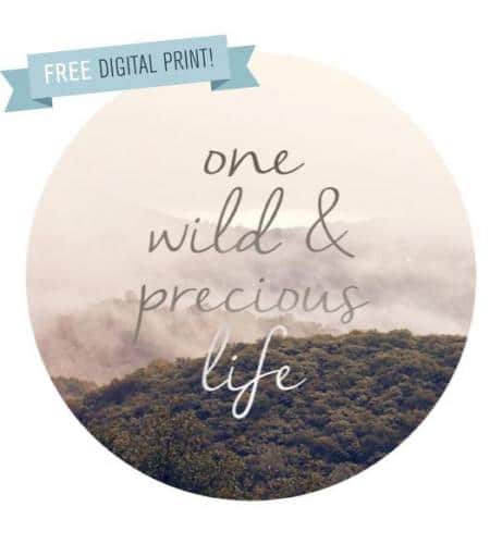 Nella Sue Font 6