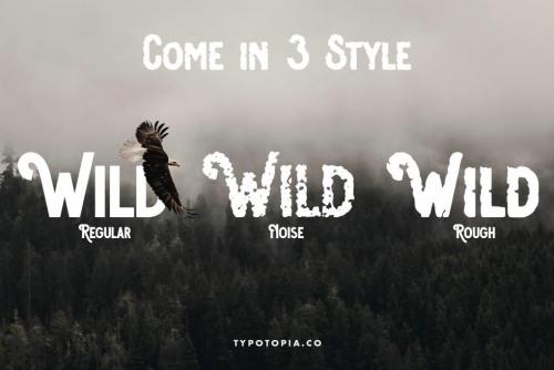 Osgiliath Multistyle Display Font 4