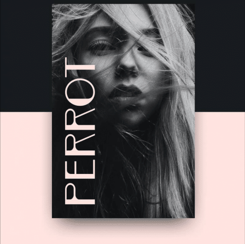PERROT Display Font 3