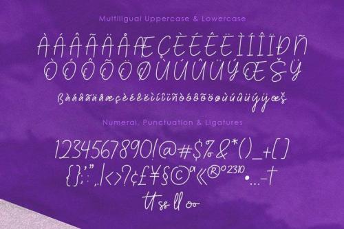 Palmeyra Handwritten Script Font 4