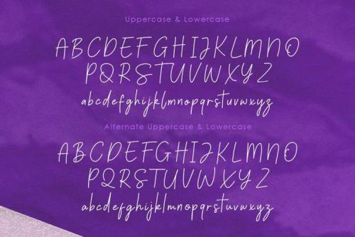Palmeyra Handwritten Script Font 5