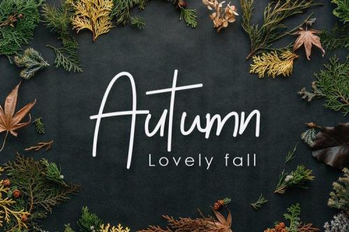 Palmeyra Handwritten Script Font 6