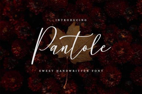 Pantole Script Font