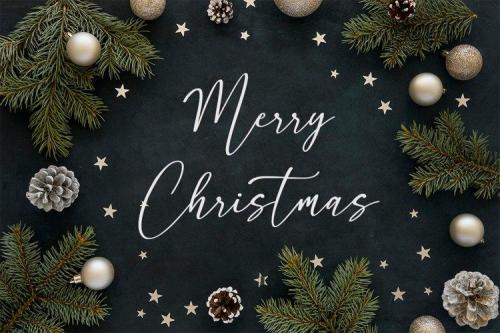 Pantole Script Font 4