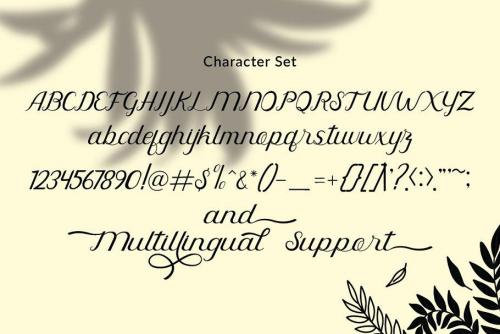 Rahaely Calligraphy Font 7