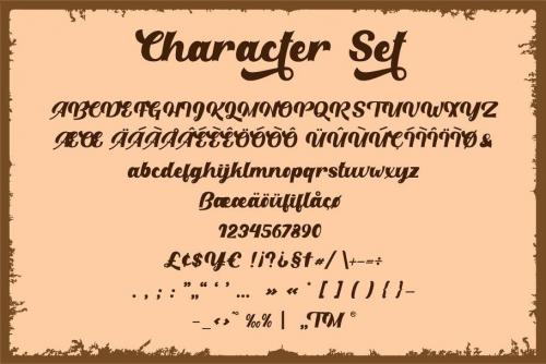 Retro Party Script Font 8