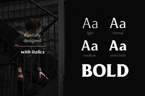 Revans Serif Font Family 2