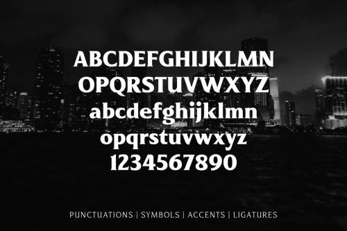 Revans Serif Font Family 4