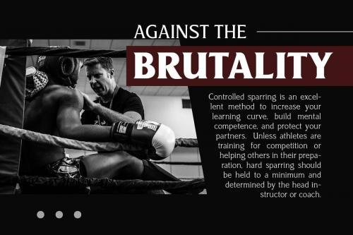 Revans Serif Font Family 9