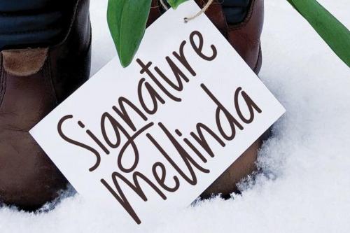 Rogellika Script Font 1