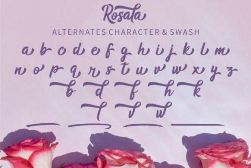 Rosala Script Font 4