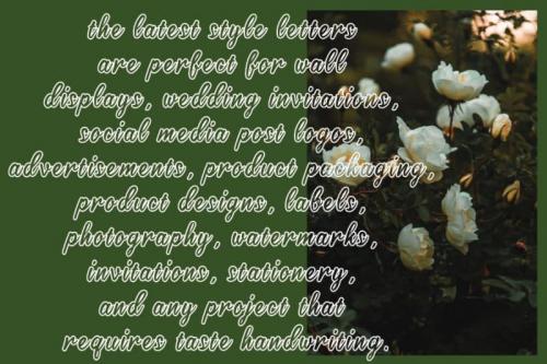 Rumujum Script Font 2