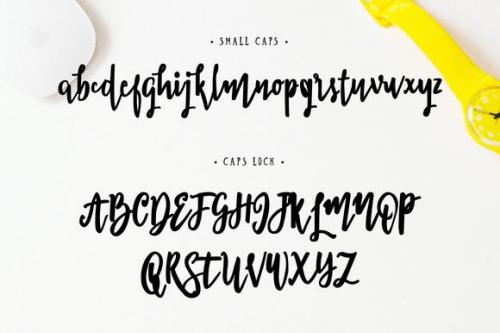 Scriblle Script Std Font 1