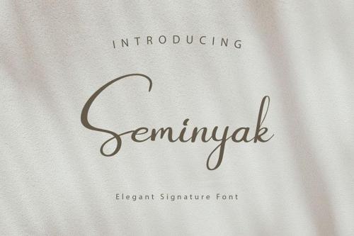 Seminyak Script Font