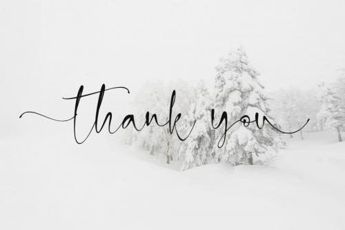 Snowland Natural Handwritten Script Font 12