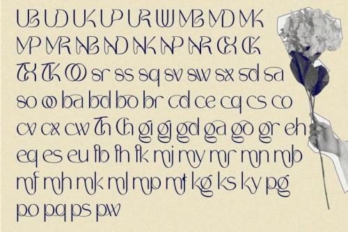 Soothing – Unique Ligature Font 4