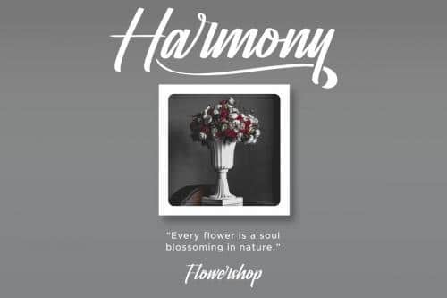 Souther Brush Script Font 3