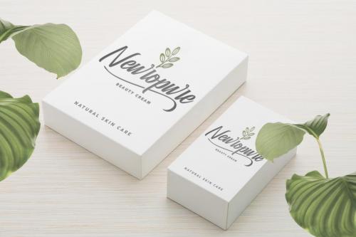 Souther Brush Script Font 7