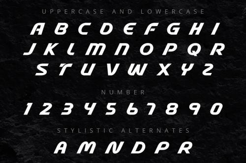 Stable Elegant Display Font 4