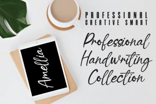 Sunflower Creative Script Font 3