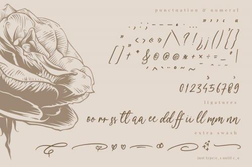 Sweetfrance Handwritten Script Font 13